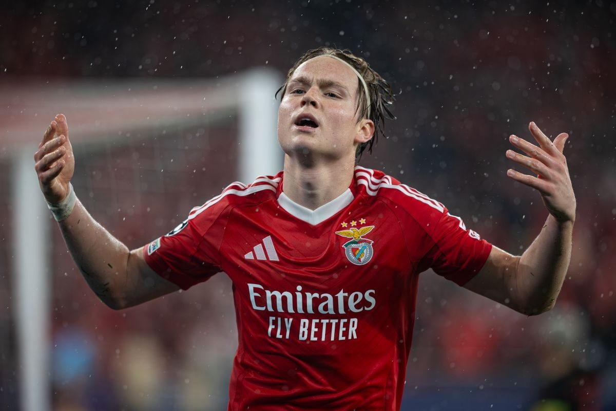 Interessen for Andreas Schjelderup er eksploderet